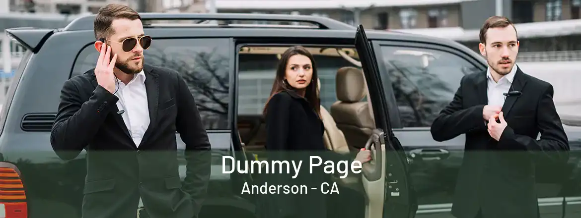 Dummy Page Anderson - CA