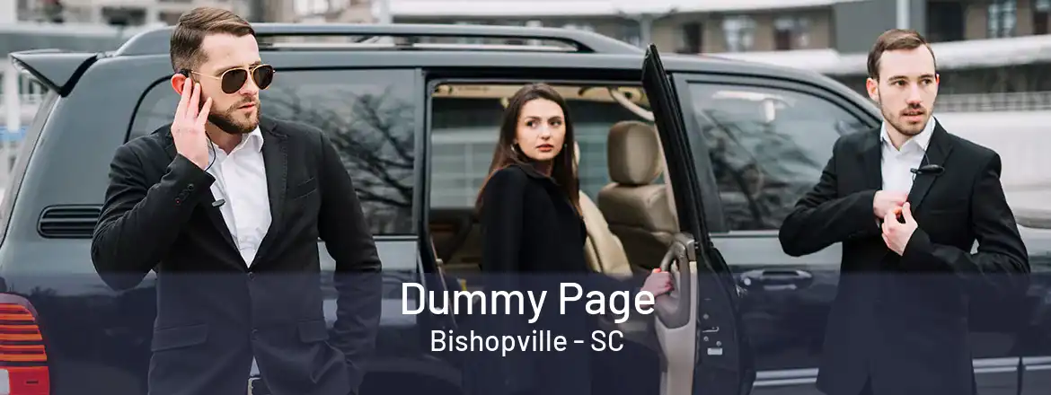 Dummy Page Bishopville - SC