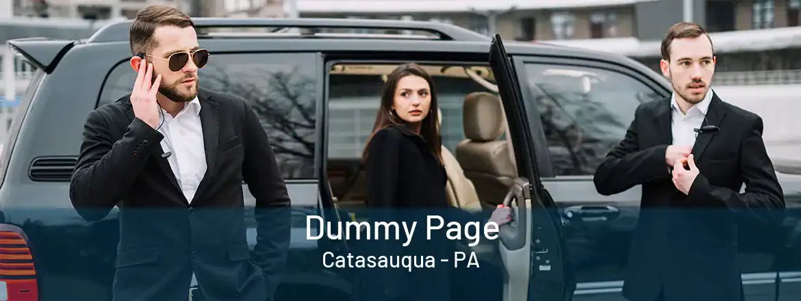 Dummy Page Catasauqua - PA