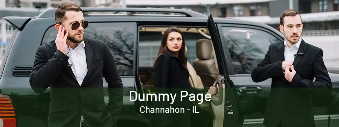 Dummy Page Channahon - IL