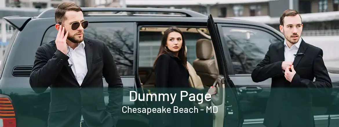 Dummy Page Chesapeake Beach - MD