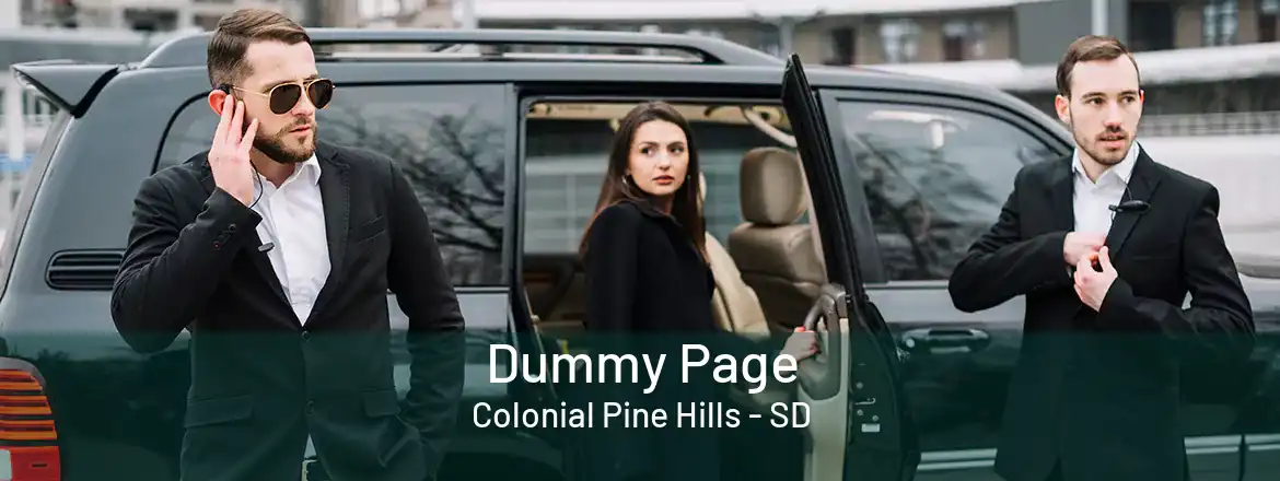 Dummy Page Colonial Pine Hills - SD