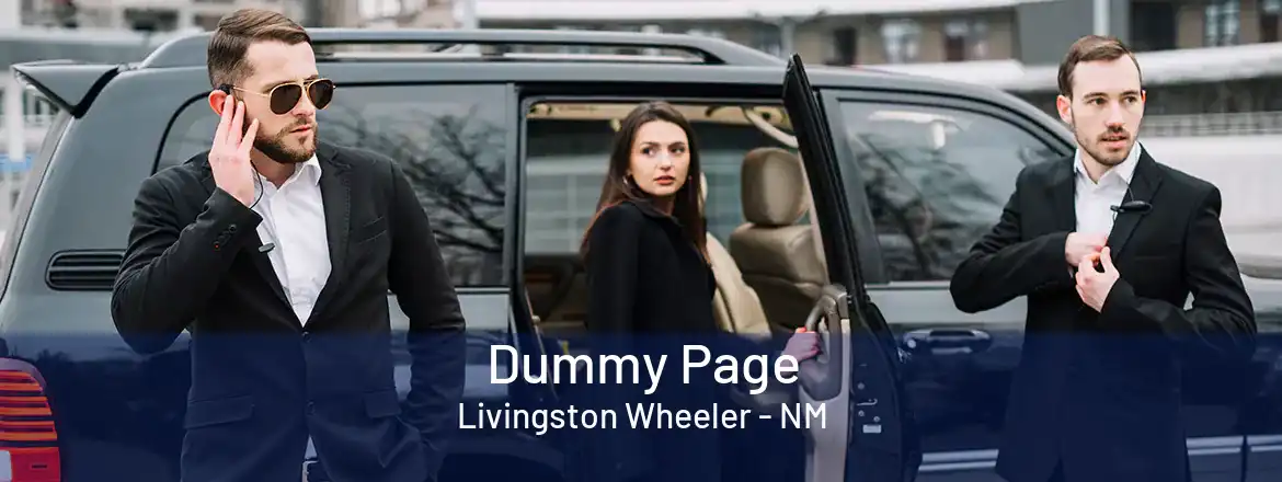 Dummy Page Livingston Wheeler - NM