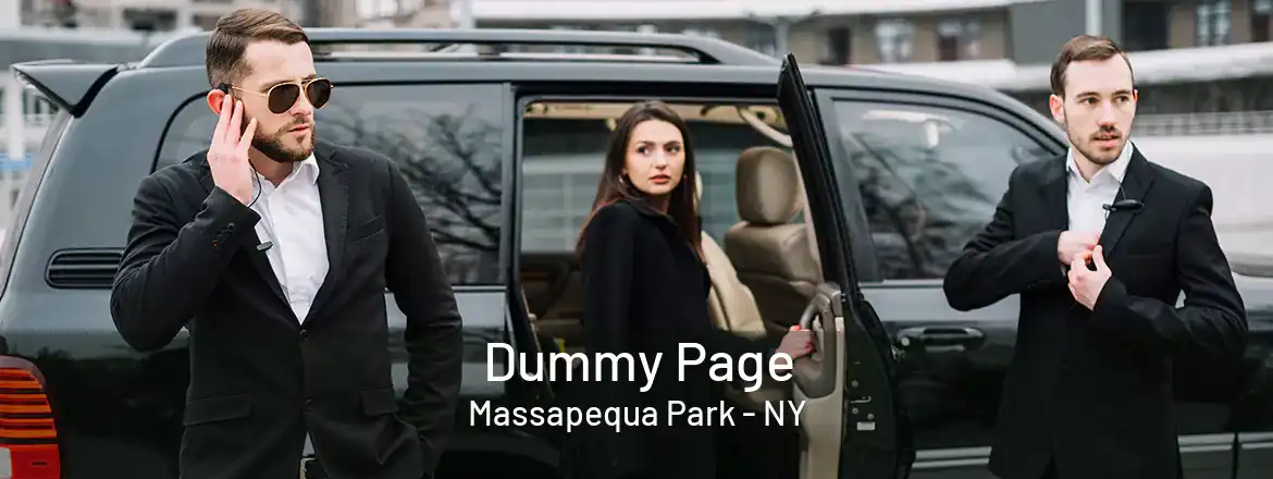 Dummy Page Massapequa Park - NY