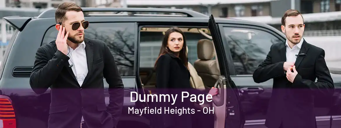 Dummy Page Mayfield Heights - OH