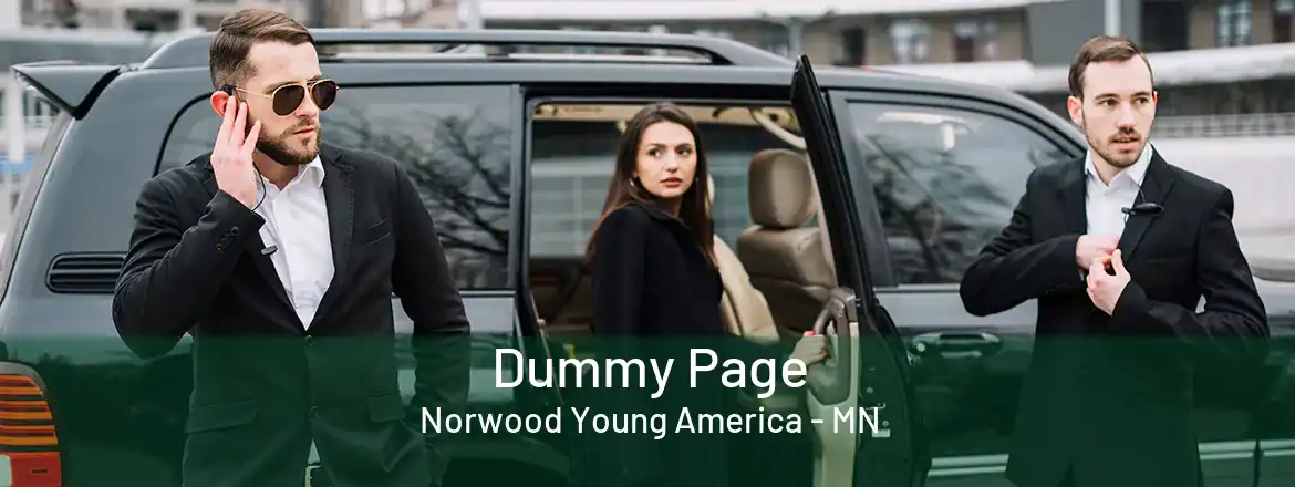 Dummy Page Norwood Young America - MN