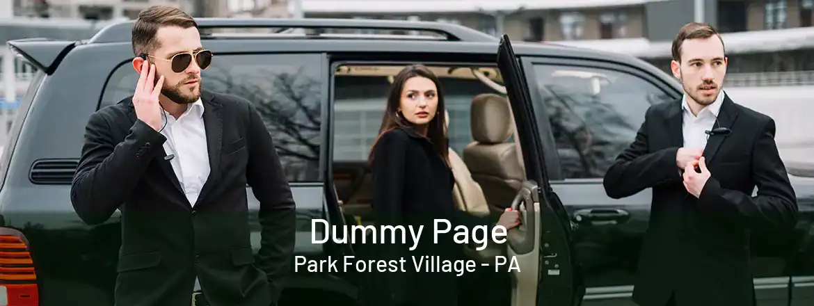 Dummy Page Park Forest Village - PA