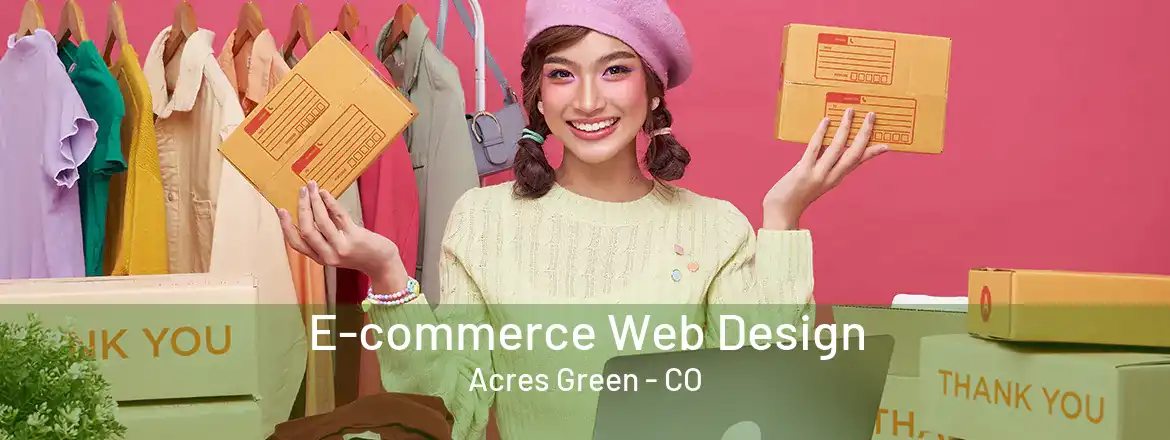 E-commerce Web Design Acres Green - CO