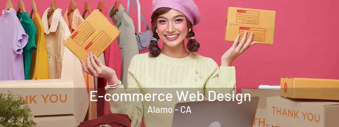 E-commerce Web Design Alamo - CA