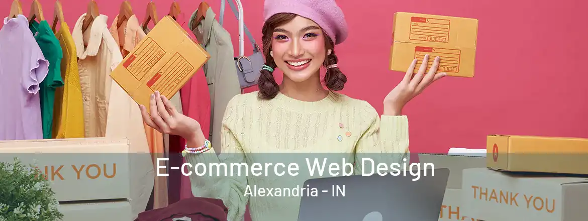 E-commerce Web Design Alexandria - IN