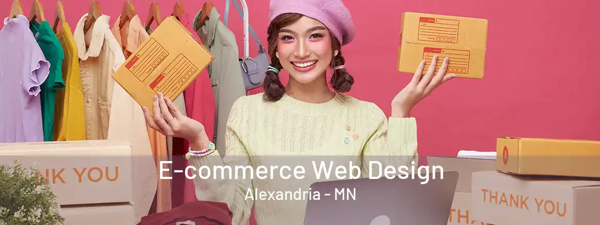 E-commerce Web Design Alexandria - MN