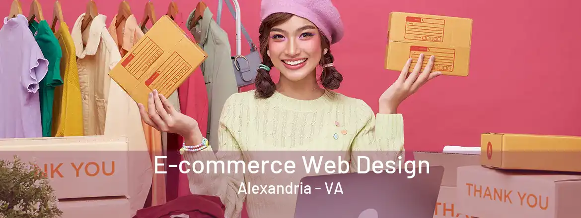 E-commerce Web Design Alexandria - VA