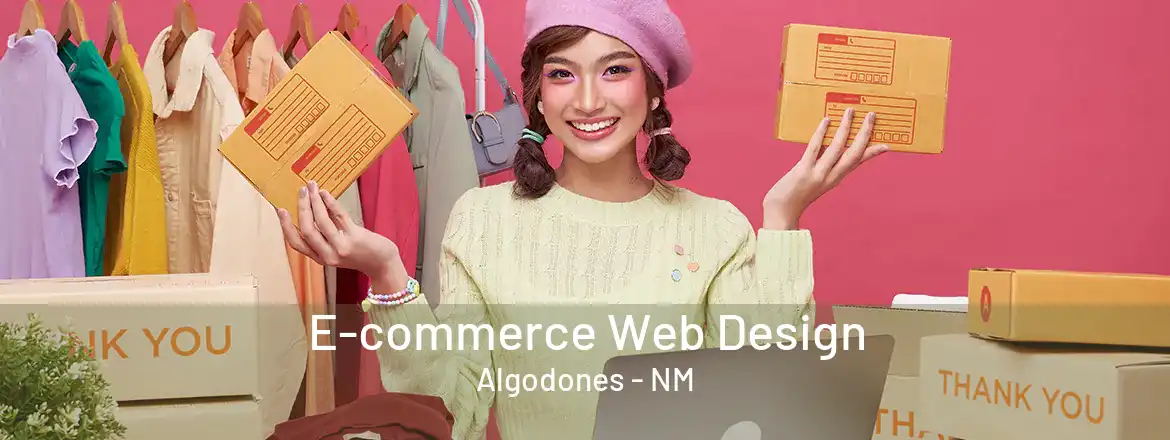 E-commerce Web Design Algodones - NM