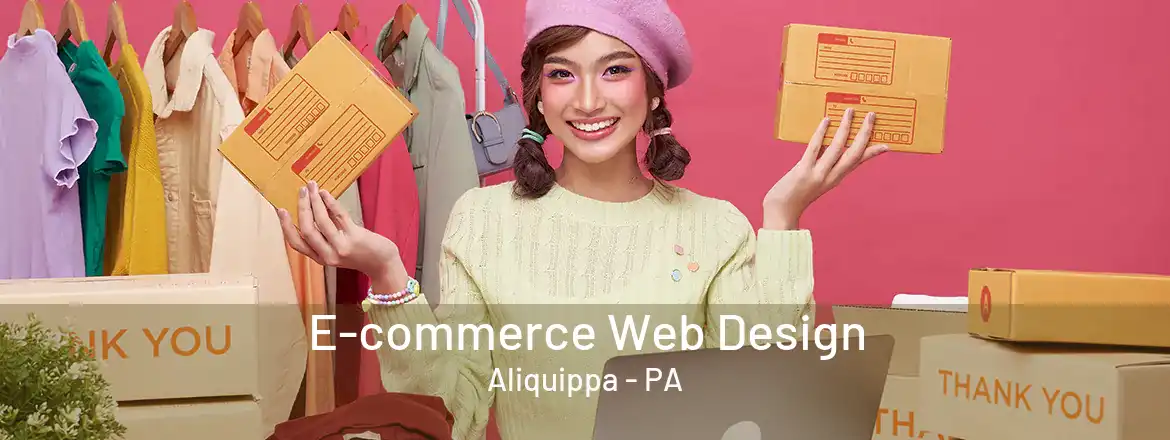 E-commerce Web Design Aliquippa - PA