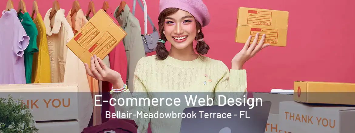 E-commerce Web Design Bellair-Meadowbrook Terrace - FL