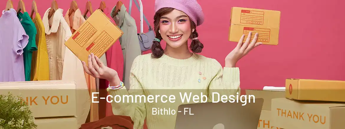 E-commerce Web Design Bithlo - FL