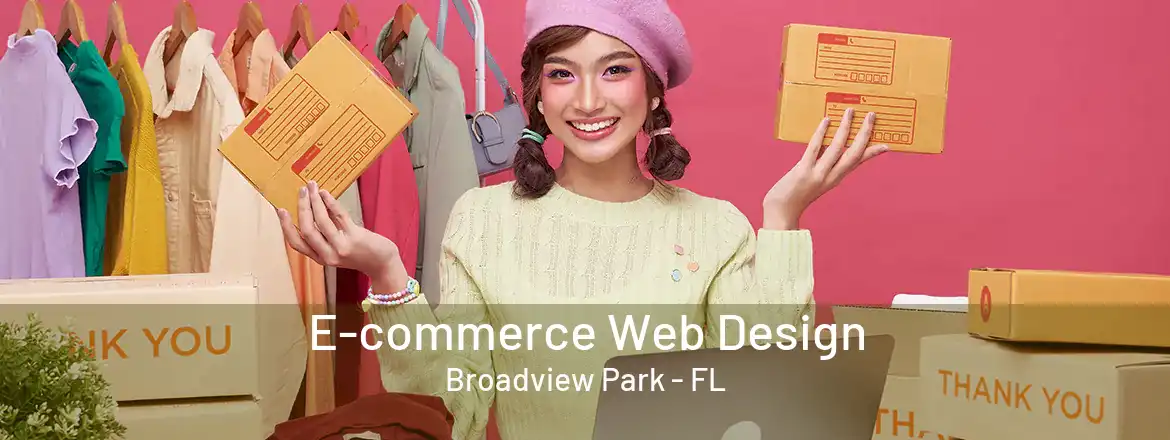 E-commerce Web Design Broadview Park - FL