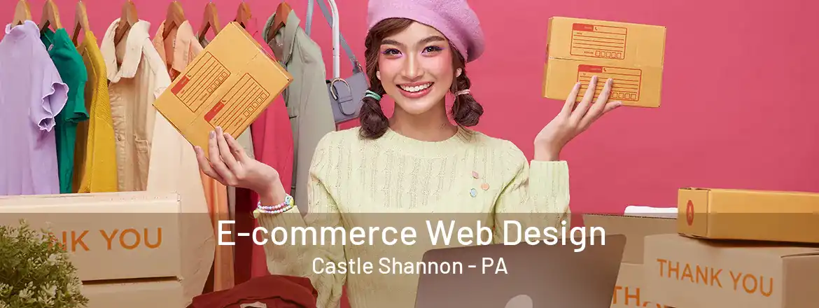 E-commerce Web Design Castle Shannon - PA