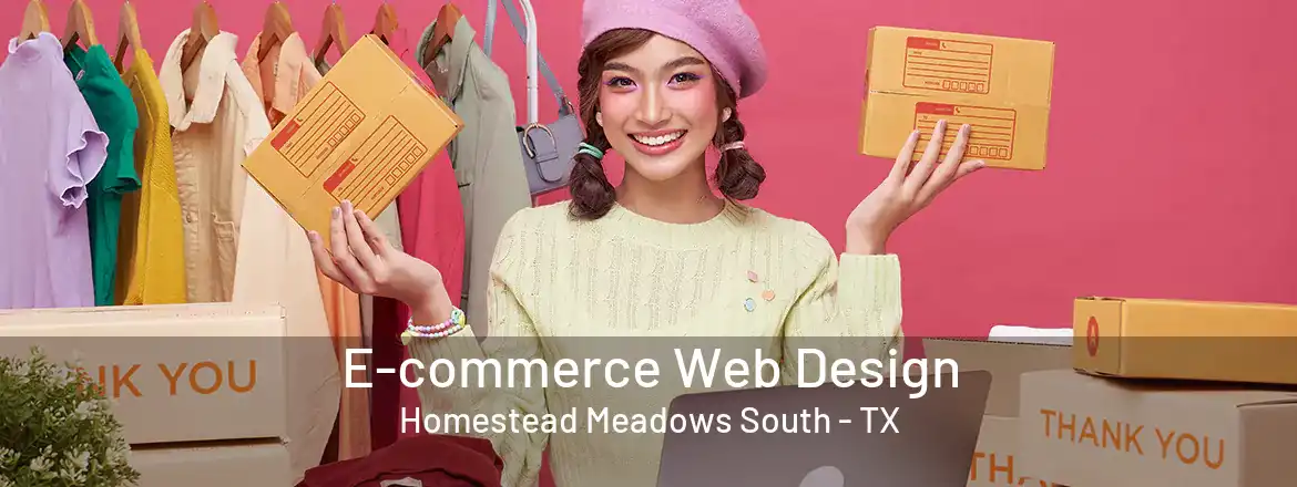  E-commerce Web Design Homestead Meadows South - TX