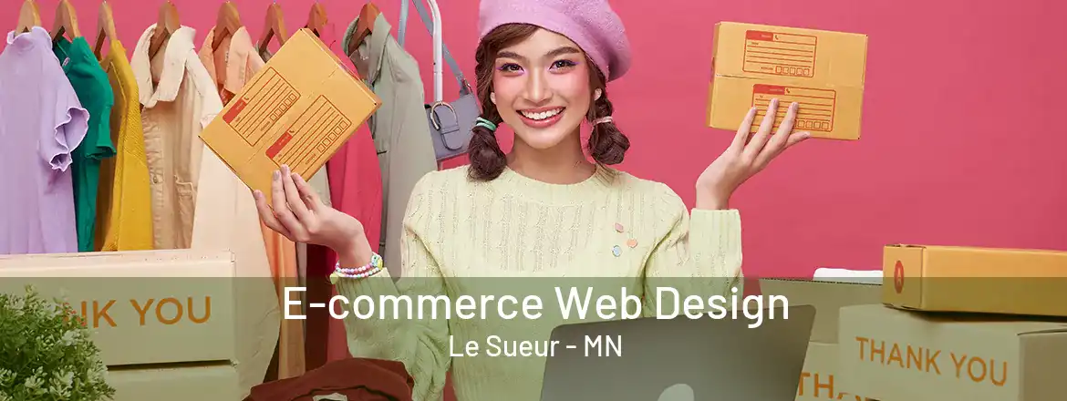 E-commerce Web Design Le Sueur - MN