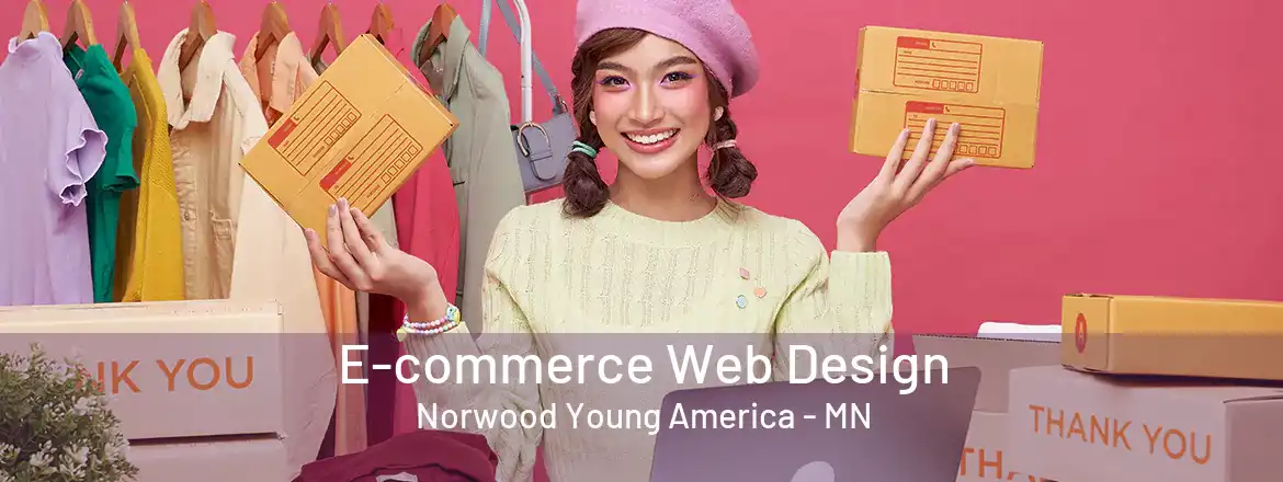 E-commerce Web Design Norwood Young America - MN