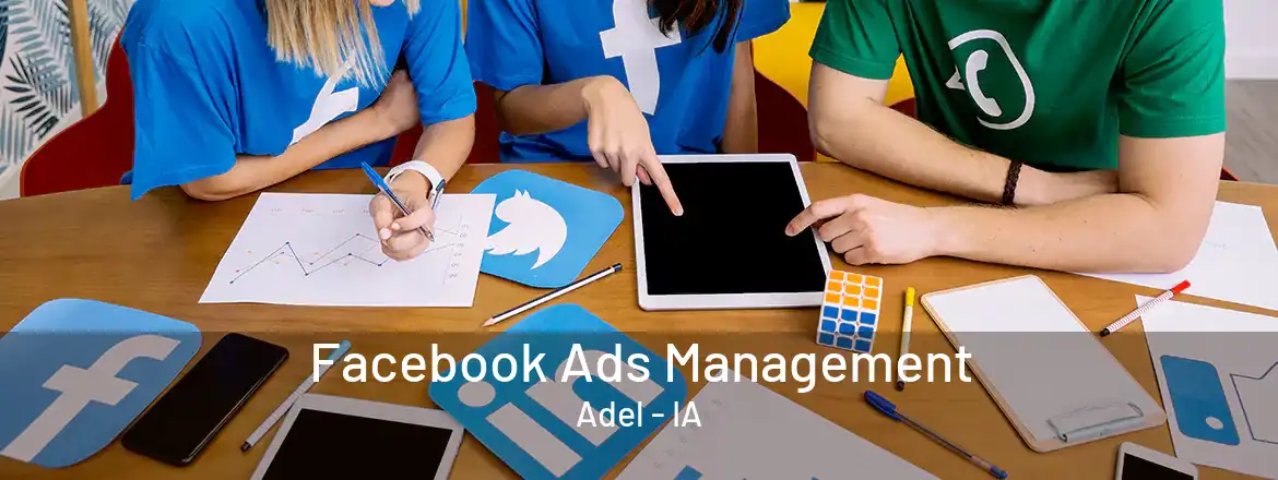 Facebook Ads Management Adel - IA