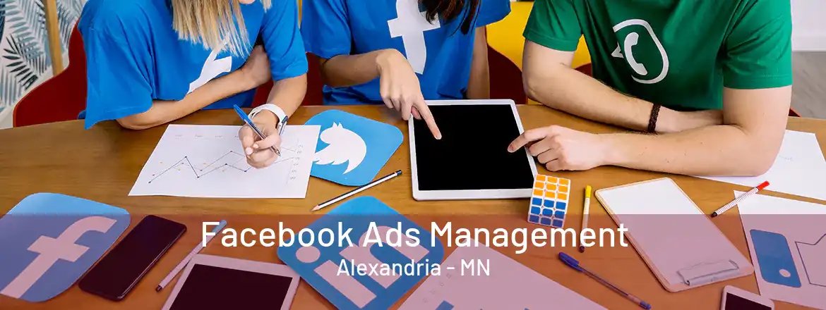 Facebook Ads Management Alexandria - MN