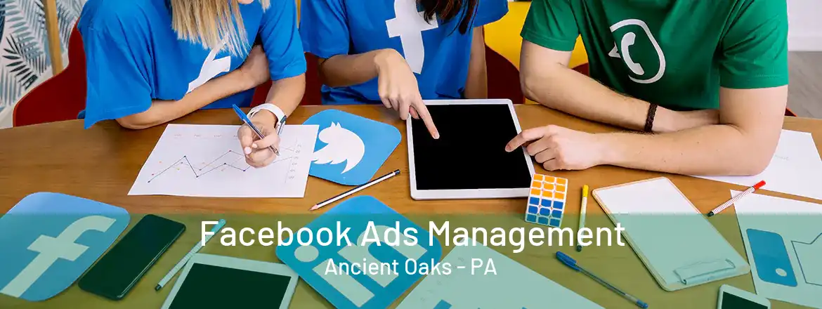 Facebook Ads Management Ancient Oaks - PA