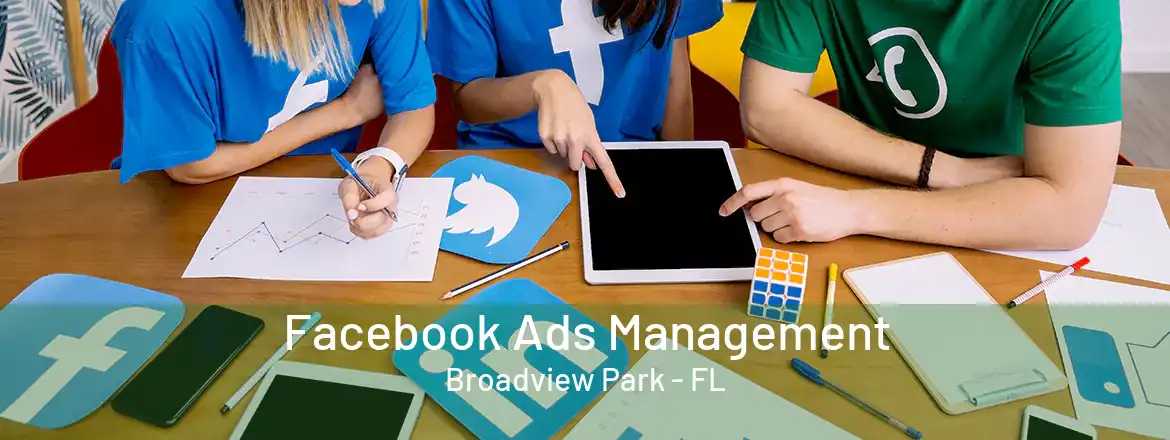 Facebook Ads Management Broadview Park - FL