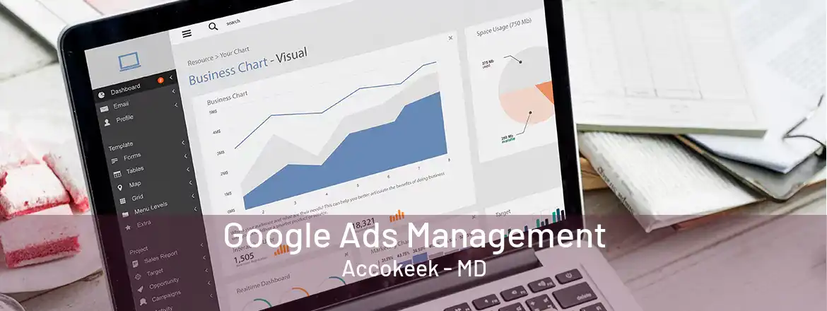 Google Ads Management Accokeek - MD