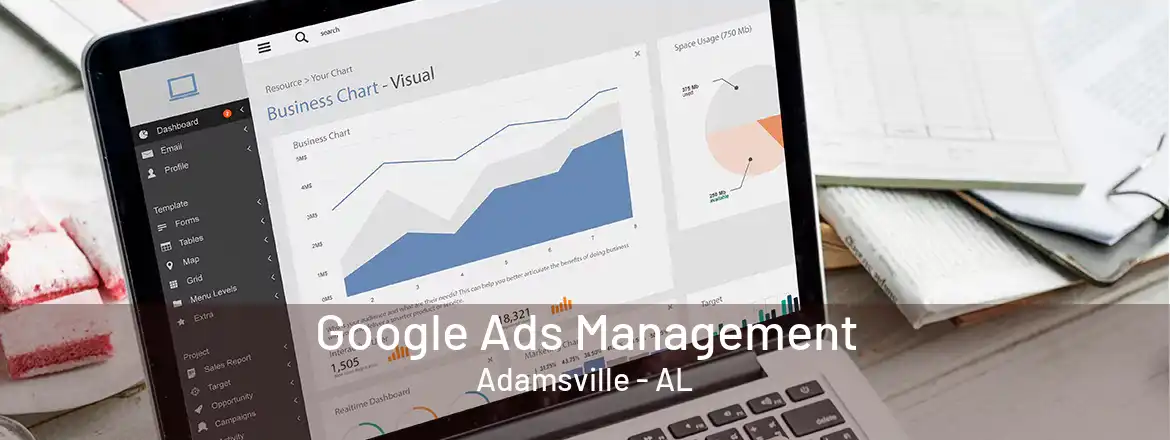 Google Ads Management Adamsville - AL