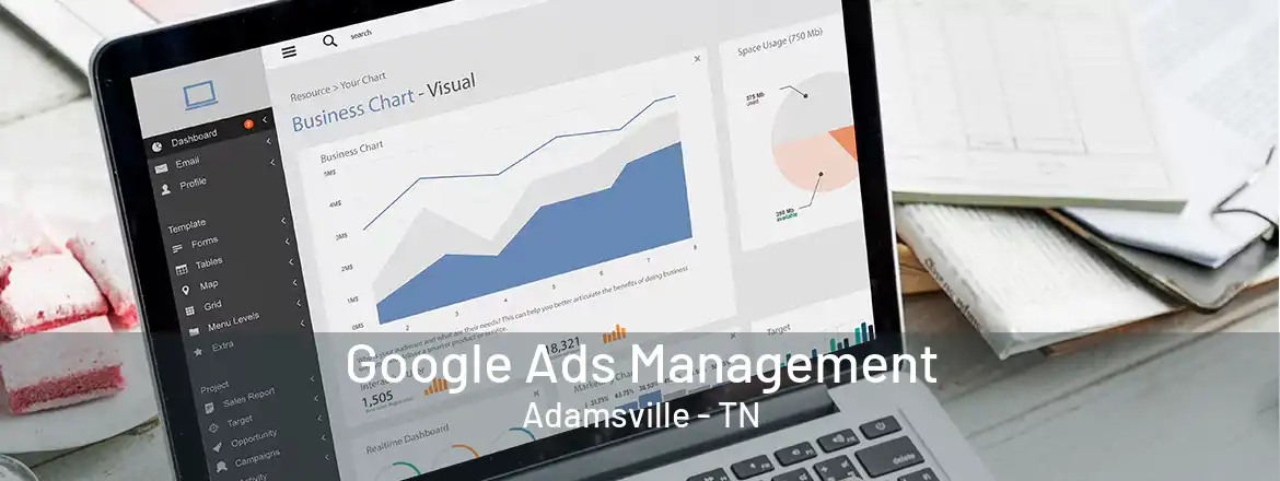 Google Ads Management Adamsville - TN