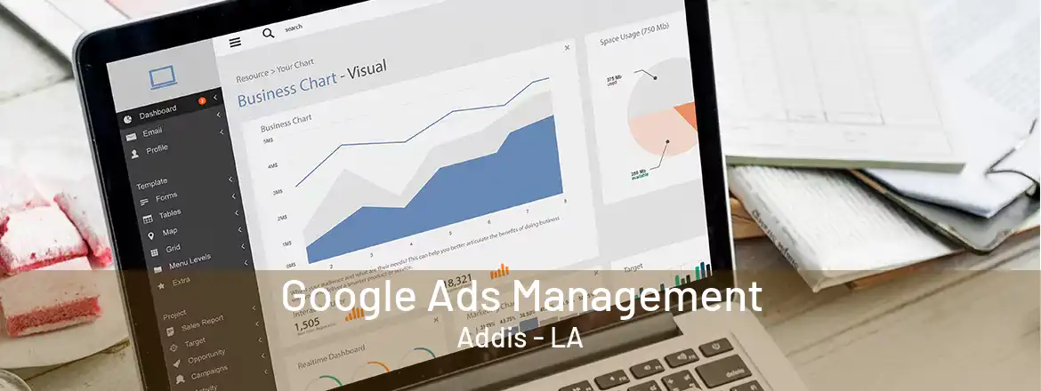 Google Ads Management Addis - LA