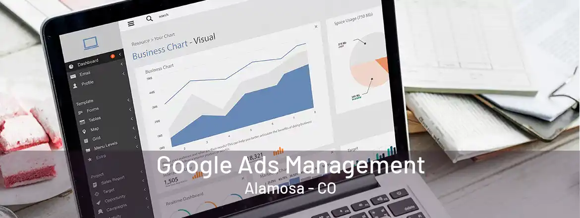 Google Ads Management Alamosa - CO