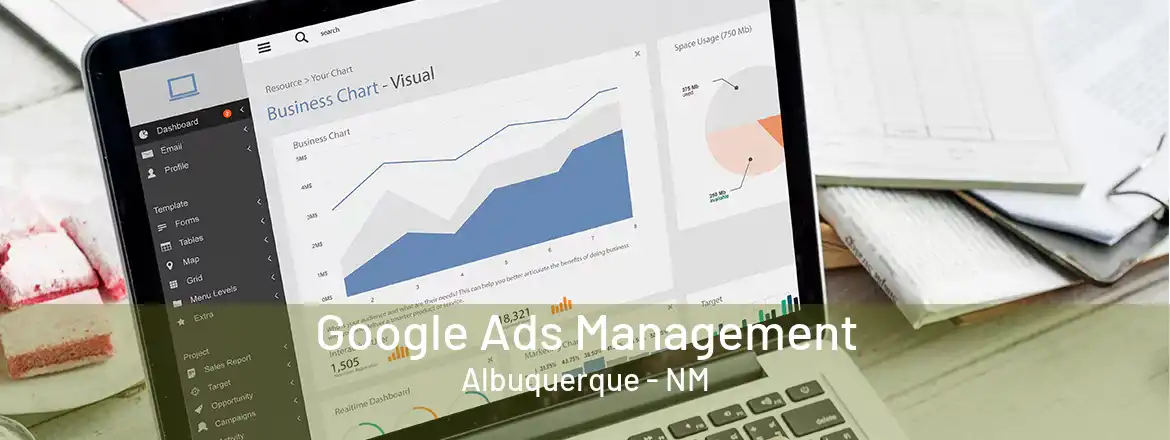 Google Ads Management Albuquerque - NM