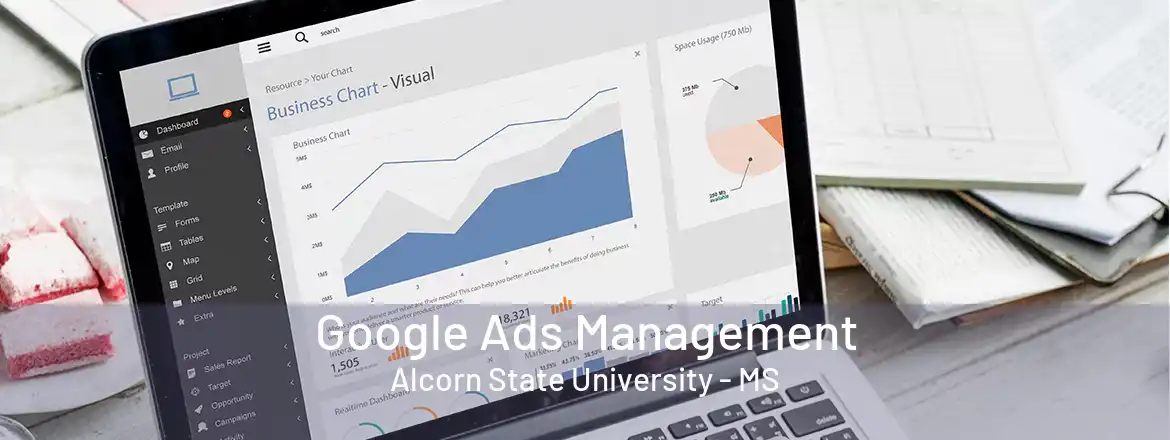 Google Ads Management Alcorn State University - MS