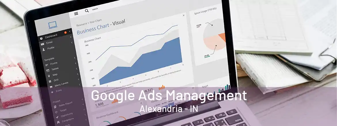 Google Ads Management Alexandria - IN