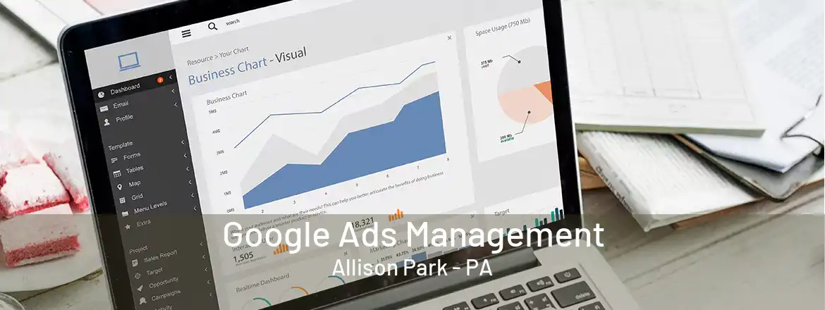 Google Ads Management Allison Park - PA