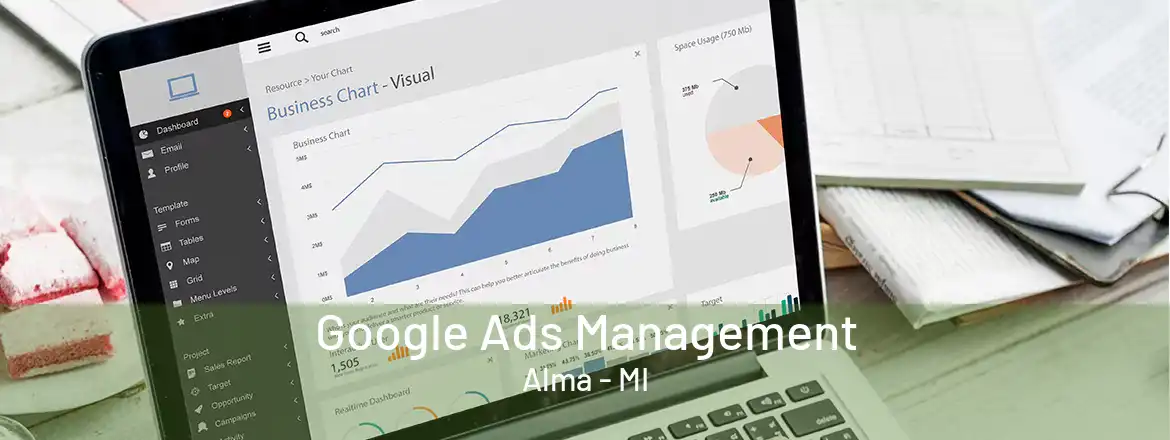 Google Ads Management Alma - MI