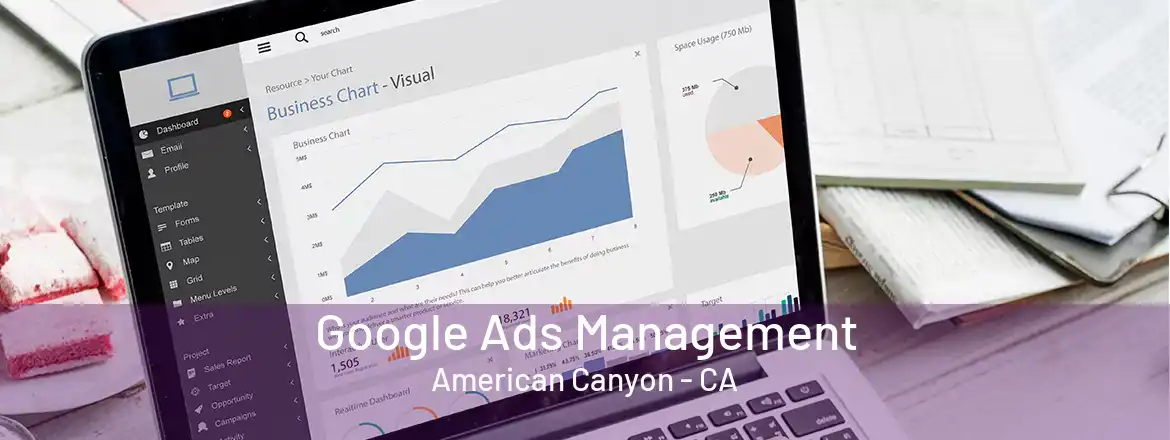 Google Ads Management American Canyon - CA