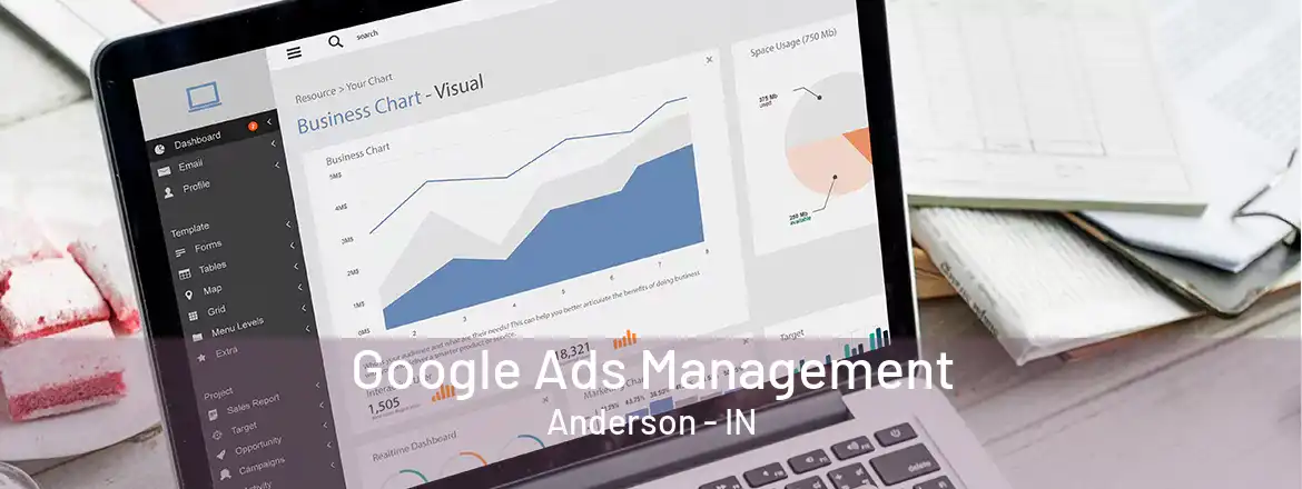 Google Ads Management Anderson - IN