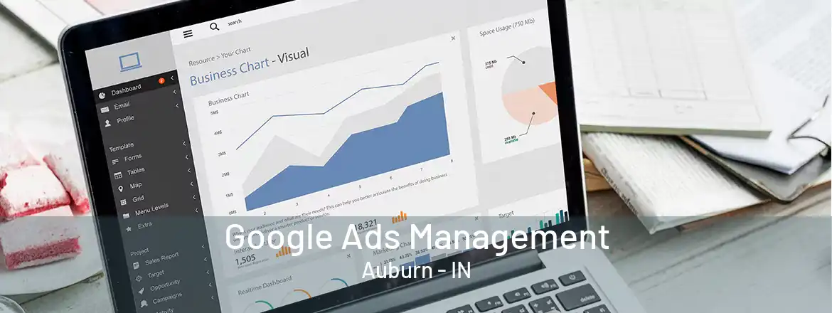 Google Ads Management Auburn - IN