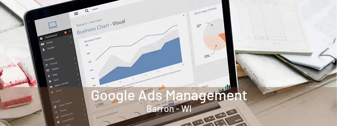 Google Ads Management Barron - WI