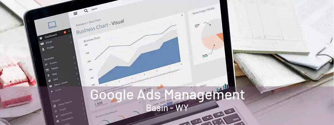 Google Ads Management Basin - WY