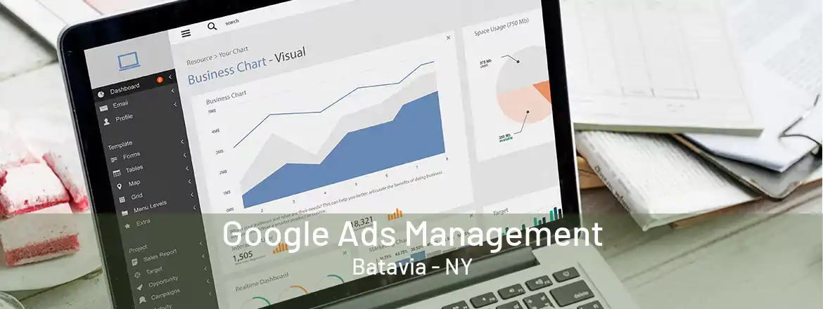 Google Ads Management Batavia - NY