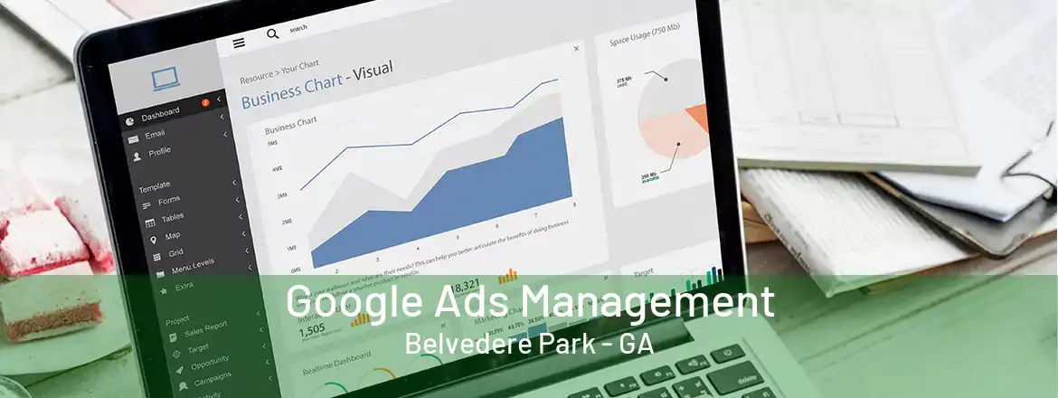 Google Ads Management Belvedere Park - GA