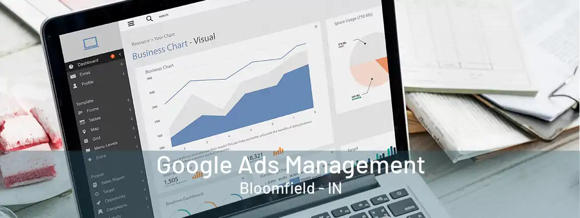 Google Ads Management Bloomfield - IN