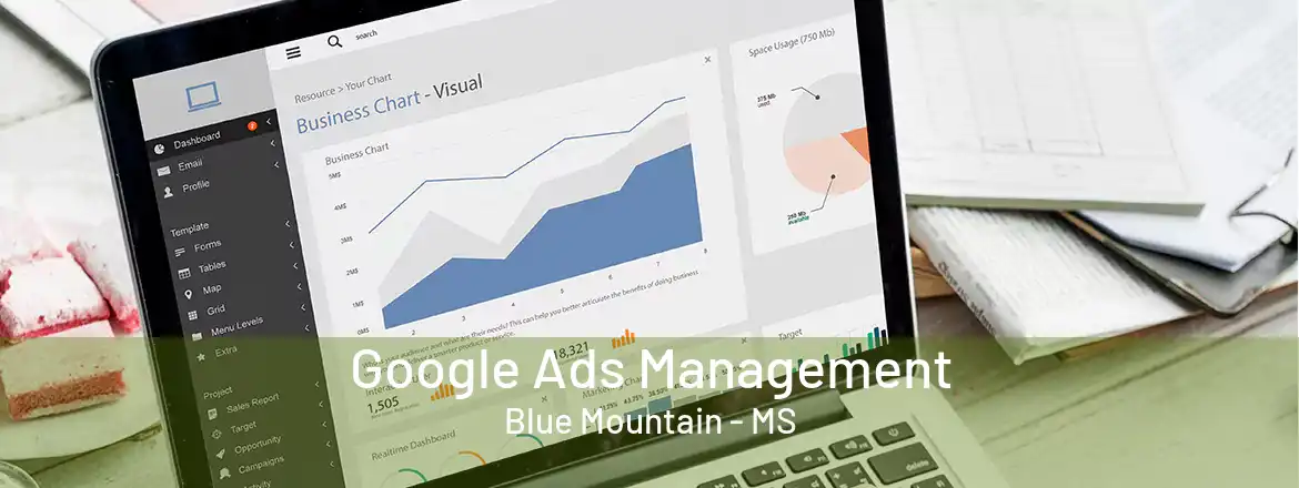 Google Ads Management Blue Mountain - MS