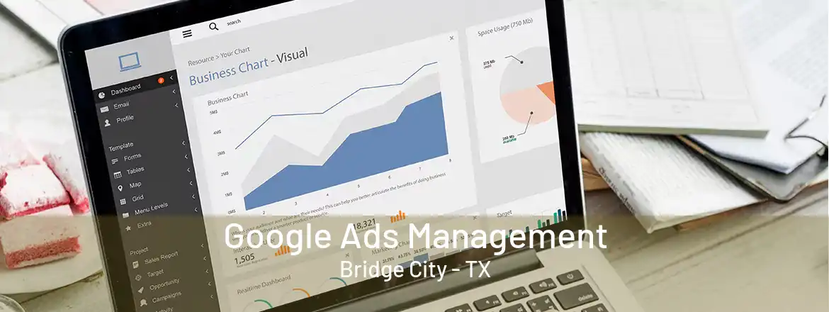 Google Ads Management Bridge City - TX