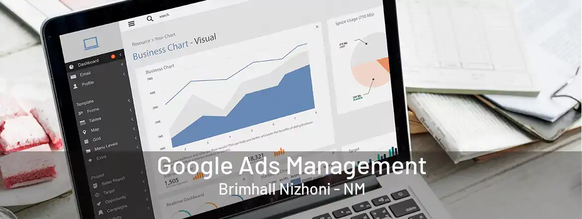 Google Ads Management Brimhall Nizhoni - NM